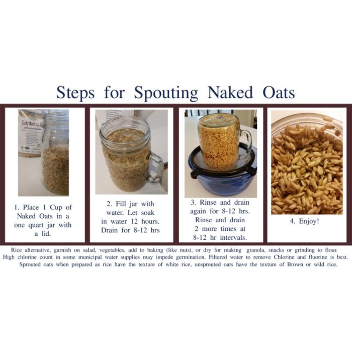 Gluten Free Naked Oats