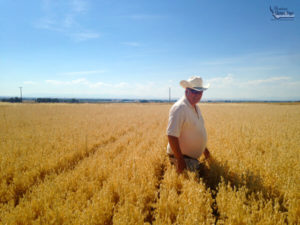 CEO Gary Iverson in a field of oats