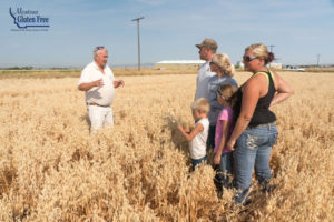 Montana Gluten Free Farmers in a field of oats discussing gluten free oat purity protocol