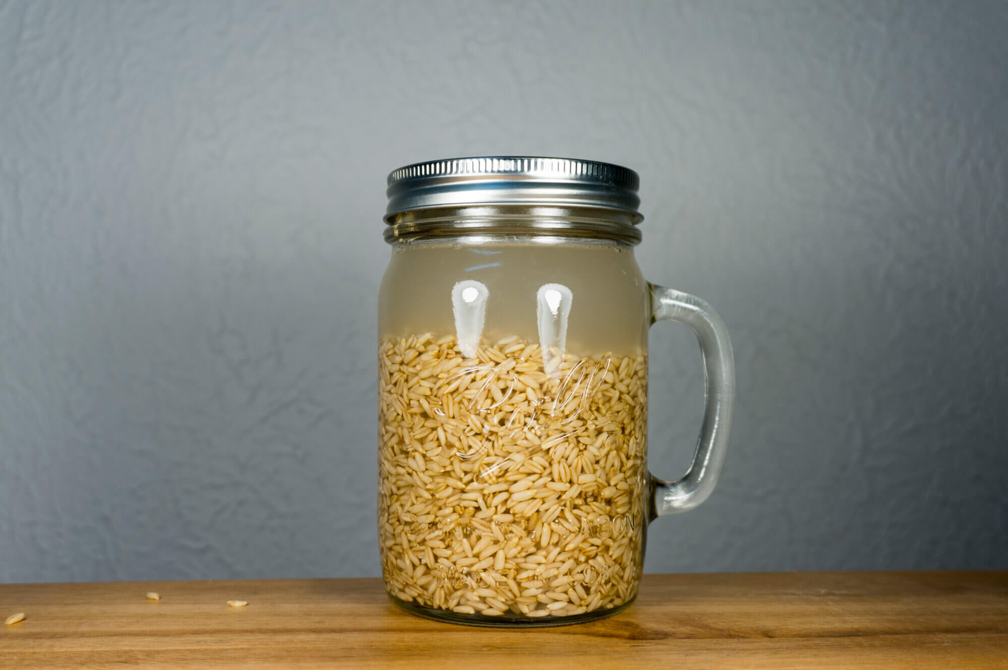 Sprouting Naked Oats - Step 2